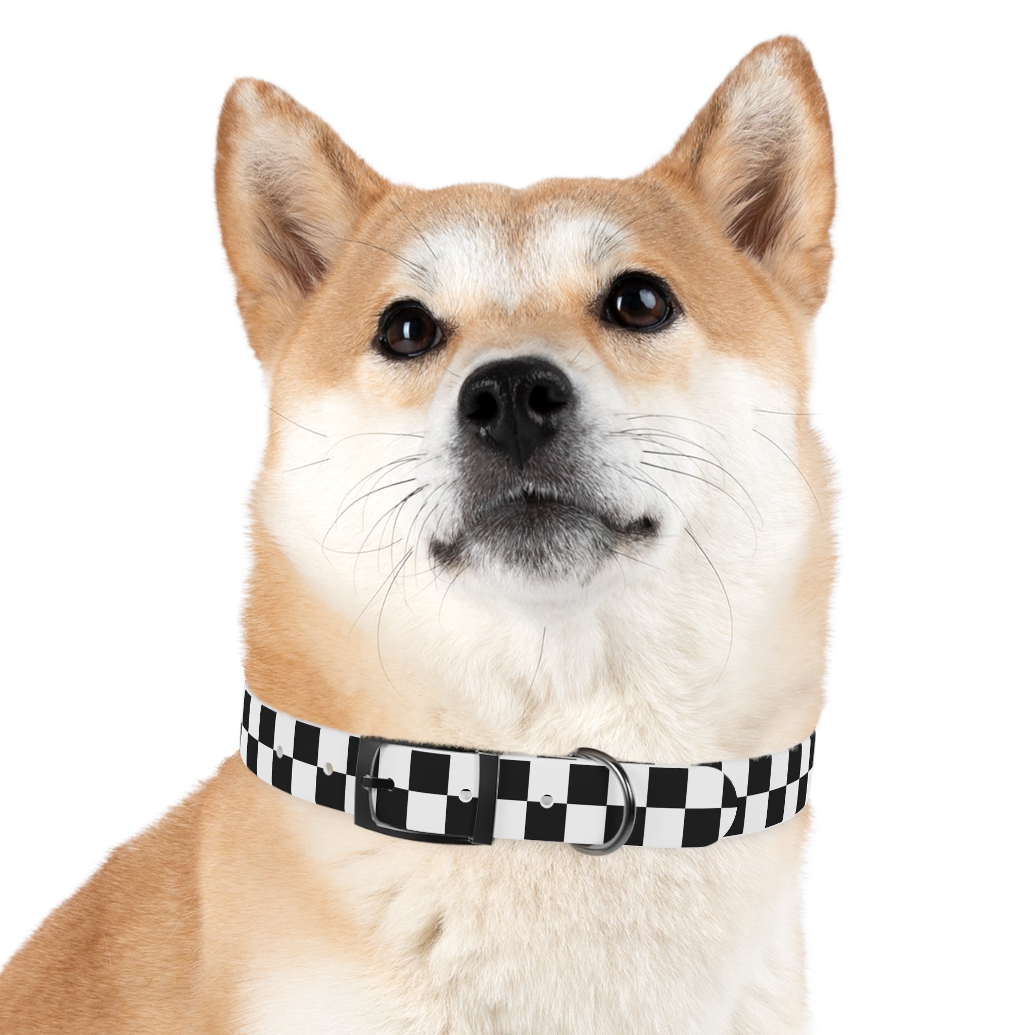 Checkerboard Pup Collar