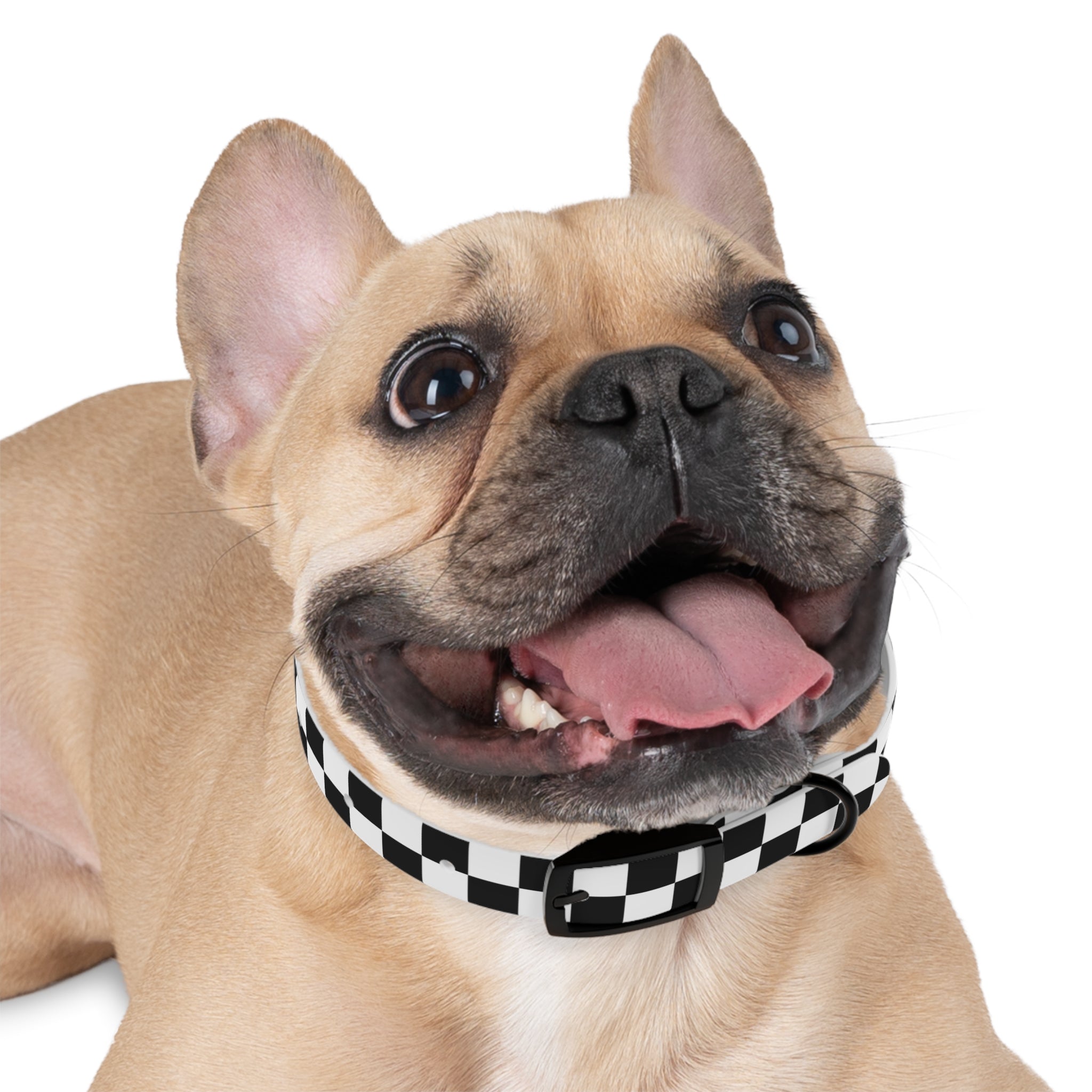 Checkerboard Pup Collar